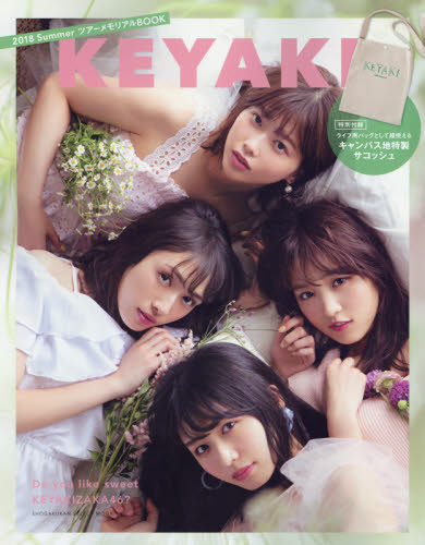 良書網 ＫＥＹＡＫＩ　２０１８ＳｕｍｍｅｒツアーメモリアルＢＯＯＫ 出版社: 小学館 Code/ISBN: 9784091037978