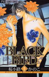 BLACK BIRD 9