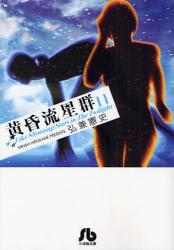 良書網 黄昏流星群  11 出版社: 小学館 Code/ISBN: 9784091961013