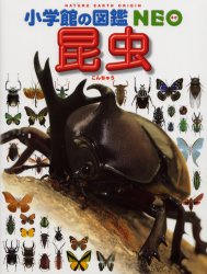 良書網 昆虫 出版社: 小学館 Code/ISBN: 9784092172036