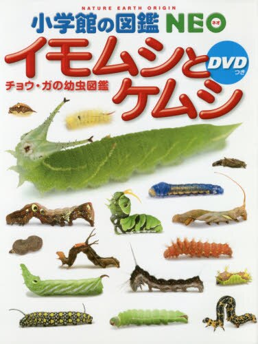 良書網 イモムシとケムシ　チョウ・ガの幼虫図鑑 出版社: 小学館 Code/ISBN: 9784092172234