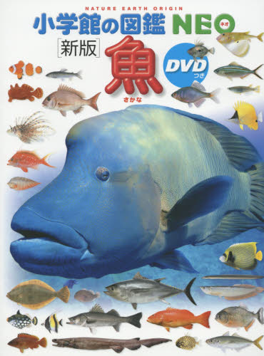 良書網 魚 出版社: 小学館 Code/ISBN: 9784092173040