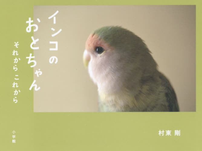 インコのおとちゃんそれからこれから