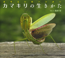 カマキリの生きかた　さすらいのハンター