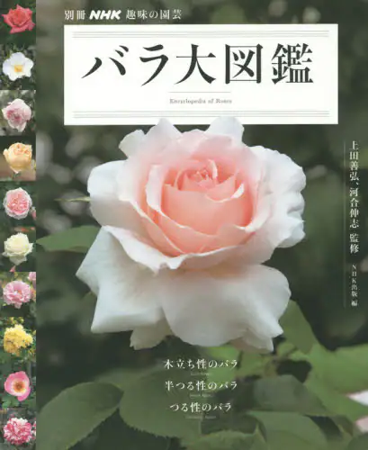 良書網 バラ大図鑑 出版社: ＮＨＫ出版 Code/ISBN: 9784146457928