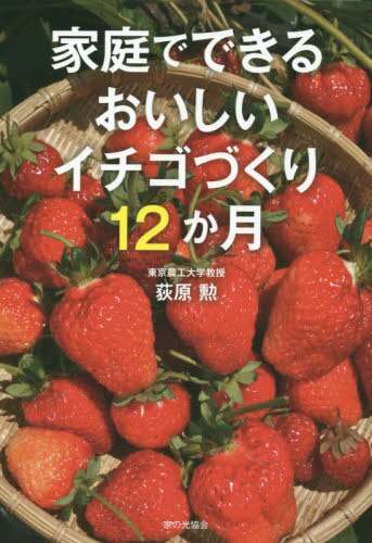 家庭でできるおいしいイチゴづくり１２か月