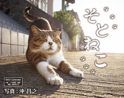 そとねこ