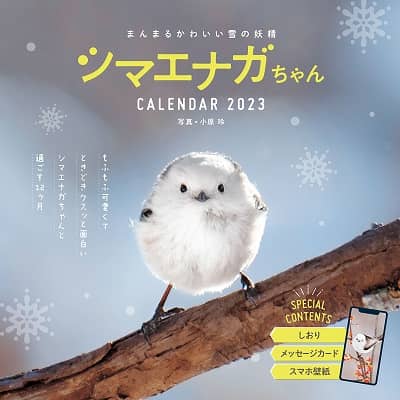 まんまるかわいい雪の妖精　シマエナガちゃん　ＣＡＬＥＮＤＡＲ　２０２３