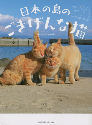 日本の島のごきげんな猫