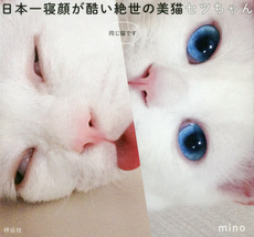 日本一寝顔が酷い絶世の美猫セツちゃん