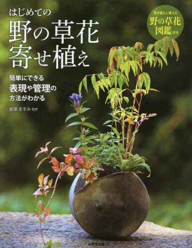 はじめての野の草花寄せ植え