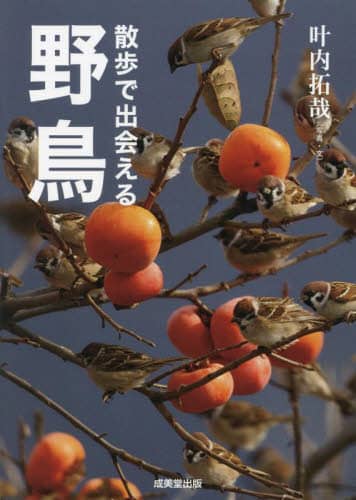 良書網 散歩で出会える野鳥 出版社: 成美堂出版 Code/ISBN: 9784415333496