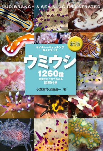 ウミウシ　特徴がひと目でわかる図解付き　１２６０種