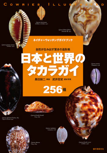 日本と世界のタカラガイ　自然が生み出す驚きの造形美　２５６種