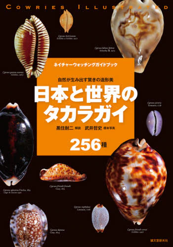 良書網 日本と世界のタカラガイ　自然が生み出す驚きの造形美　２５６種 出版社: 誠文堂新光社 Code/ISBN: 9784416521038