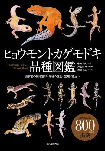 良書網 ヒョウモントカゲモドキ品種図鑑　飼育前の個体選び・品種の選別・繁殖に役立つ 出版社: 誠文堂新光社 Code/ISBN: 9784416521427