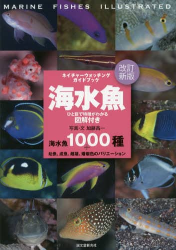 海水魚　ひと目で特徴がわかる図解付き　海水魚１０００種＋幼魚、成魚、雌雄、婚姻色のバリエーション