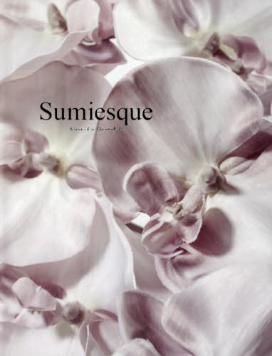 良書網 Ｓｕｍｉｅｓｑｕｅ 出版社: 誠文堂新光社 Code/ISBN: 9784416915035