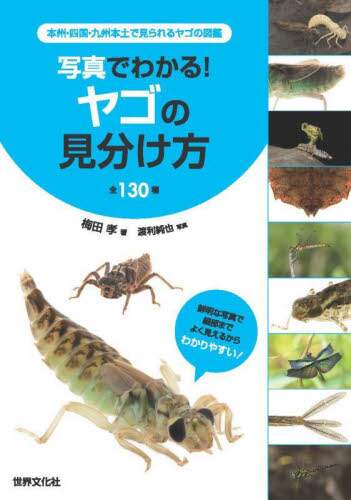 写真でわかる！ヤゴの見分け方全１３０種　本州・四国・九州本土で見られるヤゴの図鑑