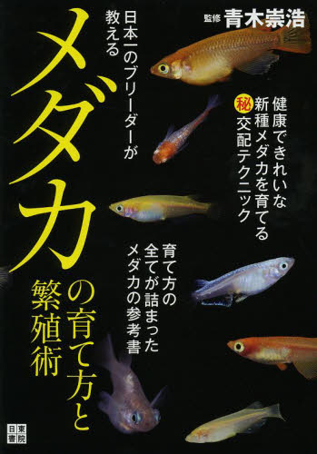 日本一のブリーダーが教えるメダカの育て方と繁殖術