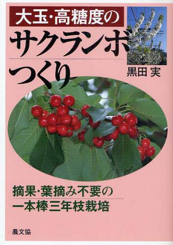 大玉・高糖度のサクランボつくり　摘果・葉摘み不要の一本棒三年枝栽培