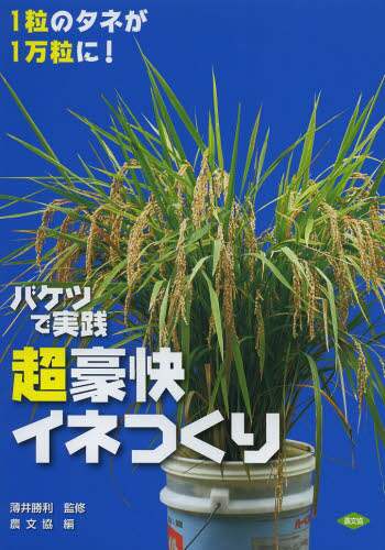 バケツで実践超豪快イネつくり　１粒のタネが１万粒に！