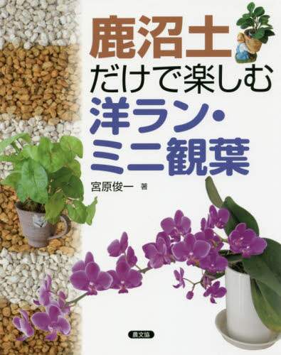 鹿沼土だけで楽しむ洋ラン・ミニ観葉