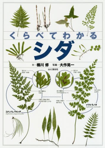 良書網 くらべてわかるシダ　識別ポイントで見分ける 出版社: 山と溪谷社 Code/ISBN: 9784635063548