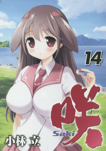 咲-Saki- 14