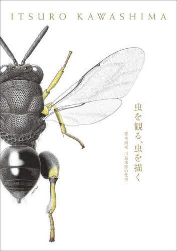 虫を観る、虫を描く　標本画家川島逸郎の仕事
