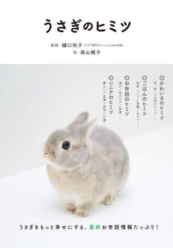 良書網 うさぎのヒミツ 出版社: グラフィック社 Code/ISBN: 9784766137484