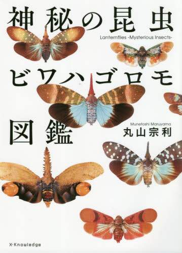 良書網 神秘の昆虫ビワハゴロモ図鑑 出版社: ｴｸｽﾅﾚｯｼﾞ Code/ISBN: 9784767828343