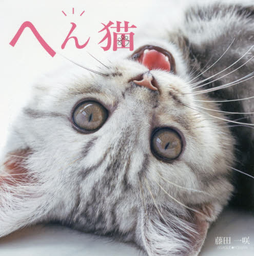 良書網 へん猫 出版社: 玄光社 Code/ISBN: 9784768307953