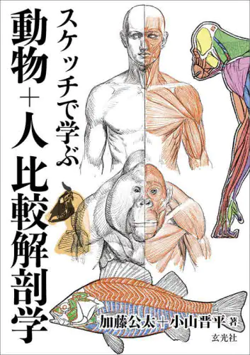 良書網 スケッチで学ぶ動物＋人比較解剖学 出版社: 玄光社 Code/ISBN: 9784768315569