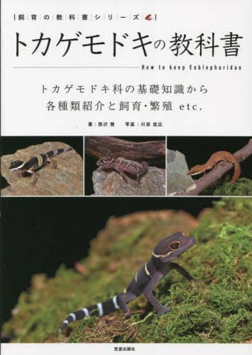 トカゲモドキの教科書　トカゲモドキ科の基礎知識から各種類紹介と飼育・繁殖ｅｔｃ．