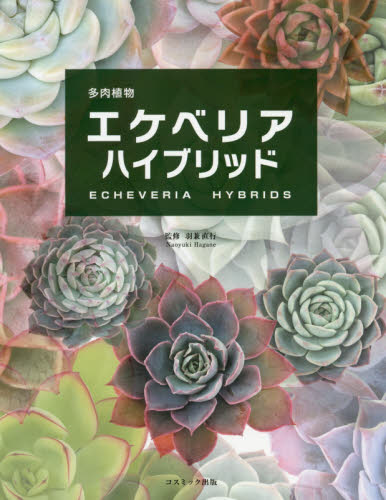 良書網 多肉植物エケベリアハイブリッド 出版社: コスミック出版 Code/ISBN: 9784774792040