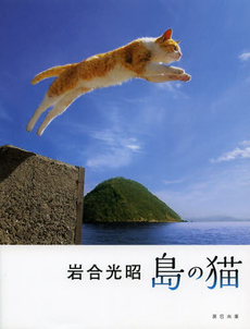 島の猫