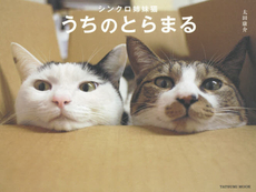良書網 シンクロ姉妹猫うちのとらまる 出版社: 辰巳出版 Code/ISBN: 9784777815166