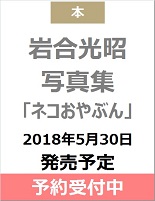 岩合光昭　写真集　「ネコおやぶん」