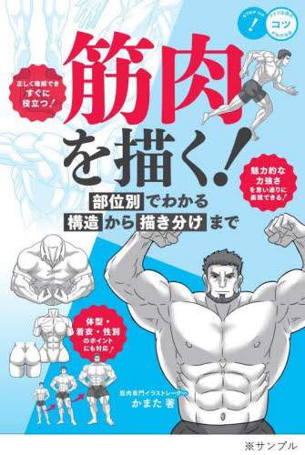 筋肉を描く！　部位別でわかる構造から描き分けまで