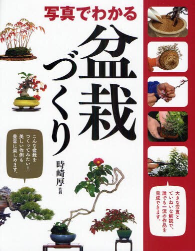 良書網 写真でわかる盆栽づくり 出版社: 西東社 Code/ISBN: 9784791615865