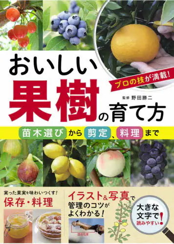 良書網 おいしい果樹の育て方　苗木選びから剪定、料理まで 出版社: 西東社 Code/ISBN: 9784791625543