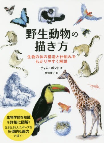 野生動物の描き方　生物の体の構造と仕組みをわかりやすく解説