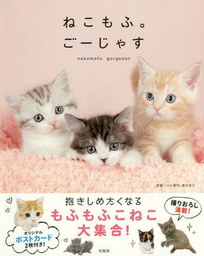 良書網 ねこもふ。ごーじゃす 出版社: 宝島社 Code/ISBN: 9784800264213