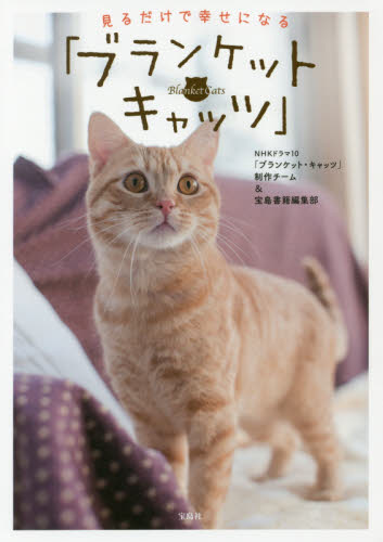 見るだけで幸せになる「ブランケット・キャッツ」