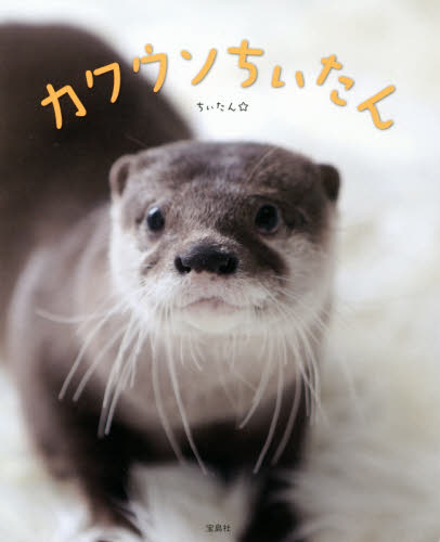 良書網 カワウソちぃたん 出版社: 宝島社 Code/ISBN: 9784800279750