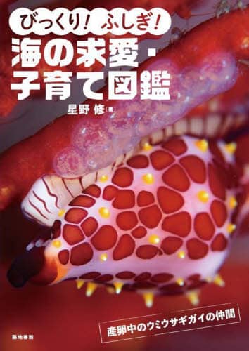 良書網 びっくり！ふしぎ！海の求愛・子育て図鑑 出版社: 築地書館 Code/ISBN: 9784806716488