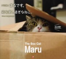 良書網 まるです。箱を愛し過ぎなねこ。 写真集 出版社: ＴＯＫＩＭＥＫＩパブリッシング Code/ISBN: 9784819112253