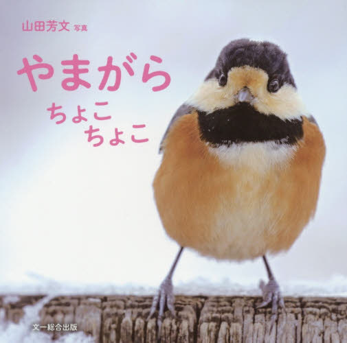 良書網 やまがらちょこちょこ 出版社: 文一総合出版 Code/ISBN: 9784829979143