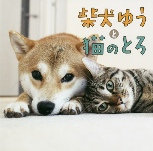 柴犬ゆうと猫のとろ